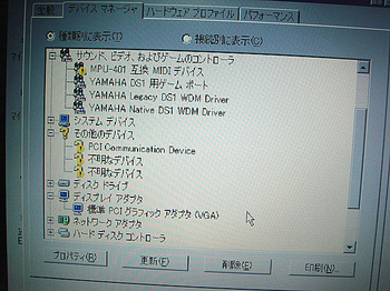 DSC00716.JPG